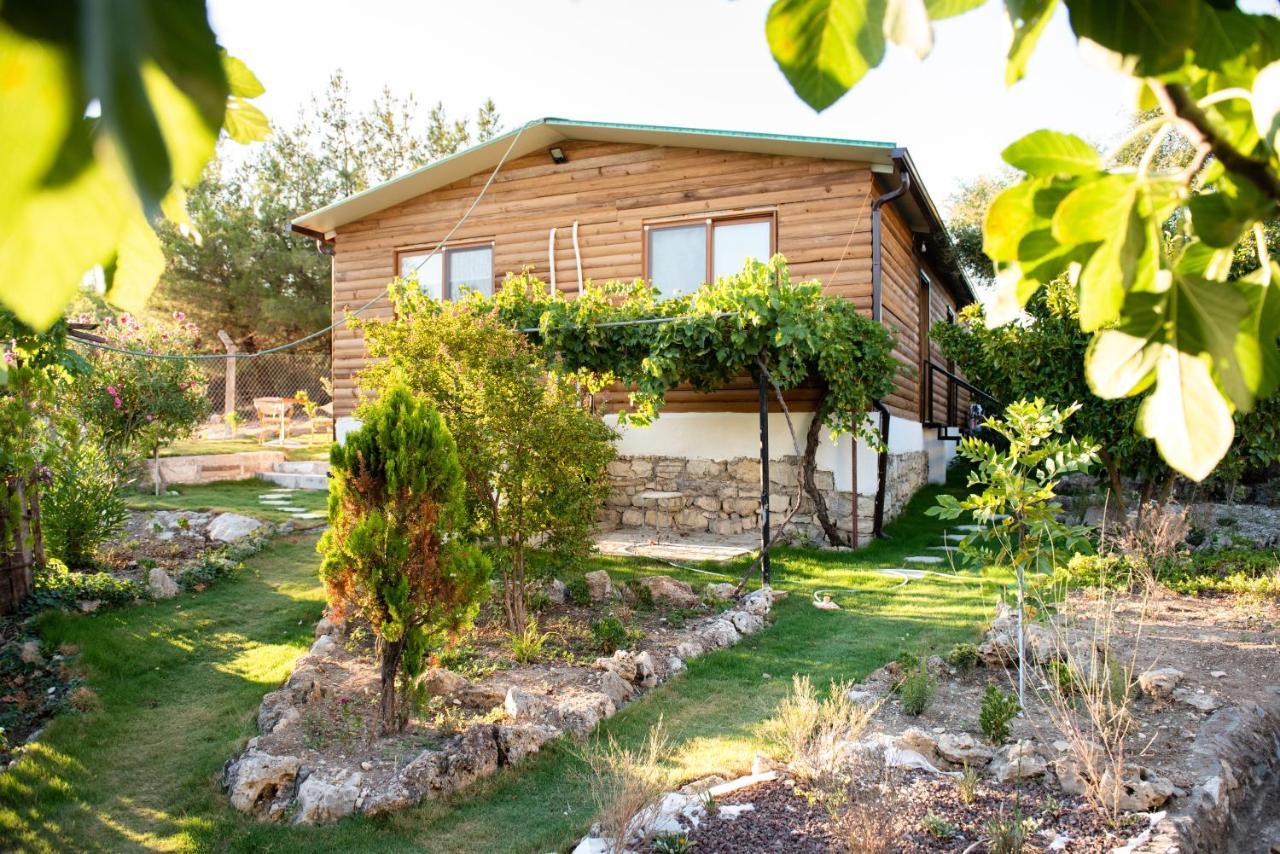 فندق My House Urla إزمير المظهر الخارجي الصورة