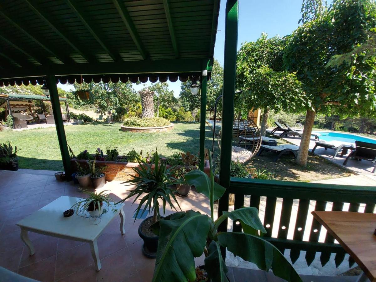 فندق My House Urla إزمير المظهر الخارجي الصورة