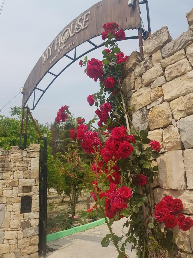 فندق My House Urla إزمير المظهر الخارجي الصورة