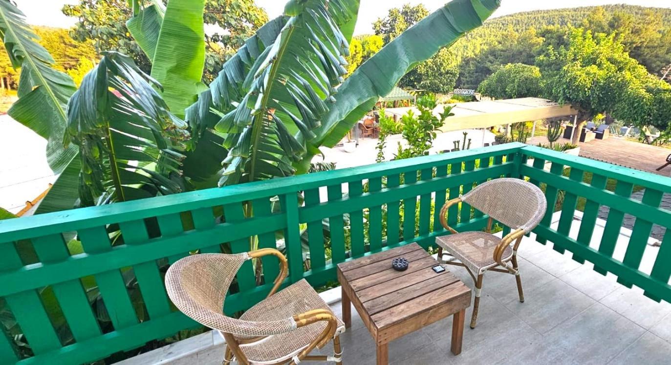 فندق My House Urla إزمير المظهر الخارجي الصورة